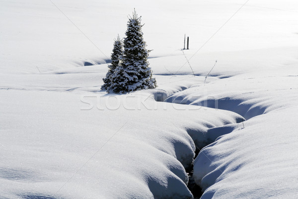 Winter Stock photo © Hasenonkel