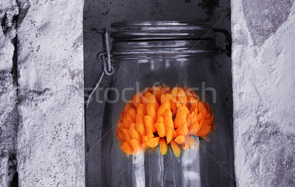 Nice sticlă floare portocaliu floare în picioare Imagine de stoc © Hasenonkel