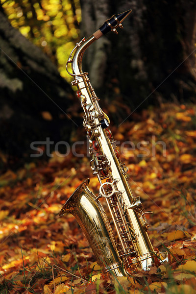 old grungy saxophone Stock photo © Hasenonkel