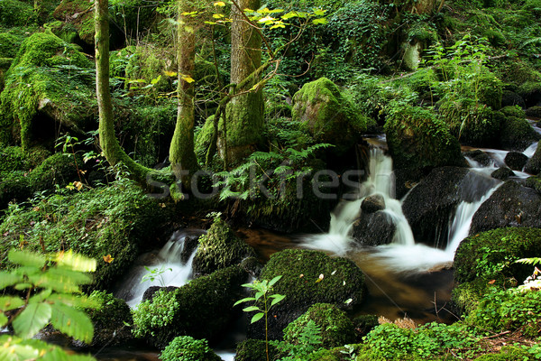 Wenig fließend Fluss schönen grünen Stock foto © Hasenonkel