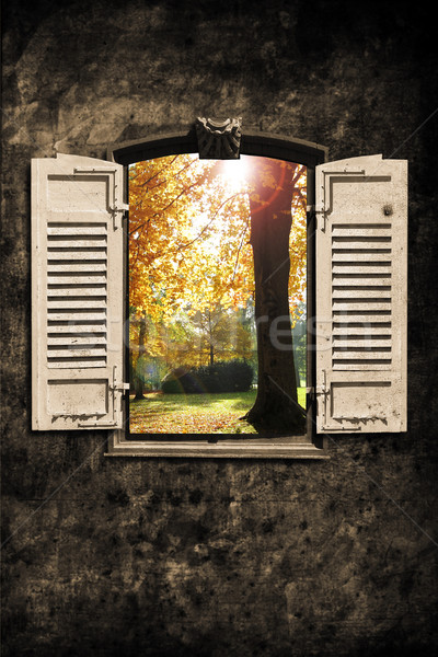 Window Stock photo © Hasenonkel