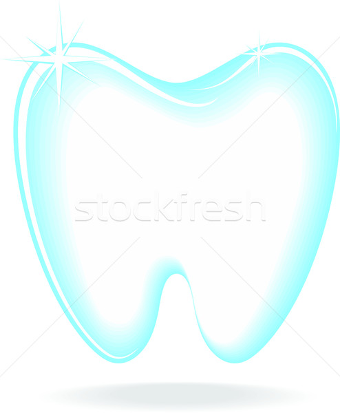 molar vector Stock photo © hayaship
