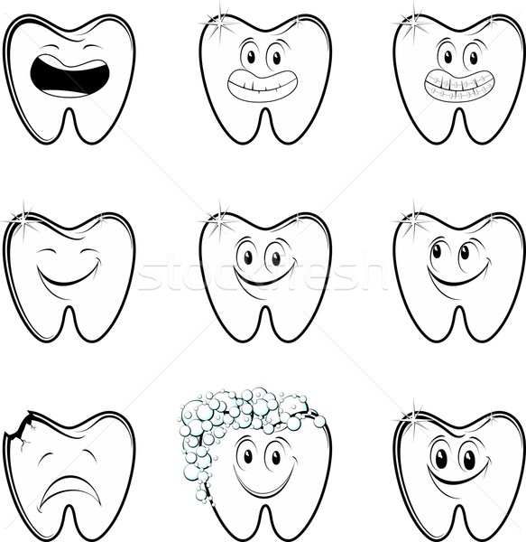 molar collection vector Stock photo © hayaship