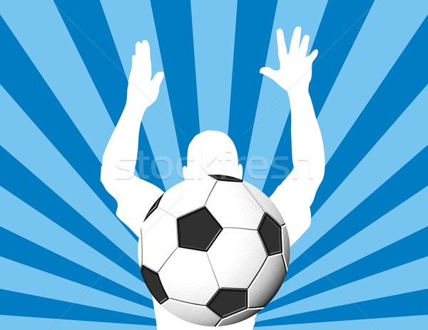 Objetivo balón de fútbol espacio de la copia fútbol fondo campo Foto stock © hayaship