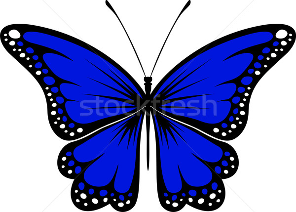 Foto stock: Azul · mariposa · diseno · aislado · blanco · vector