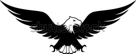 águila vector imagen diseno aislado blanco Foto stock © hayaship
