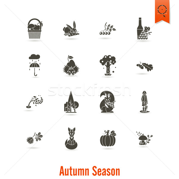 Set Herbst Symbole einfache Stock foto © HelenStock