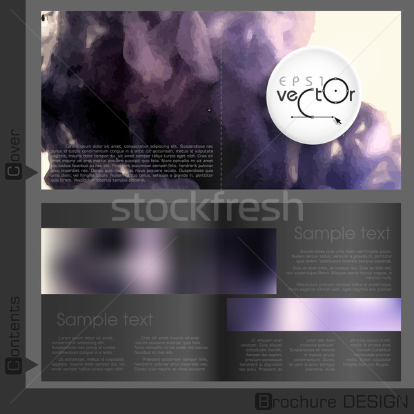 Broszura szablon projektu eps 10 tekstury Zdjęcia stock © HelenStock