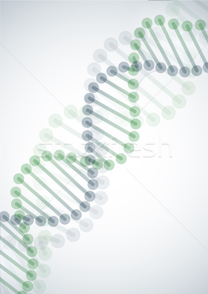 DNA eps 10 bilgisayar soyut model Stok fotoğraf © HelenStock