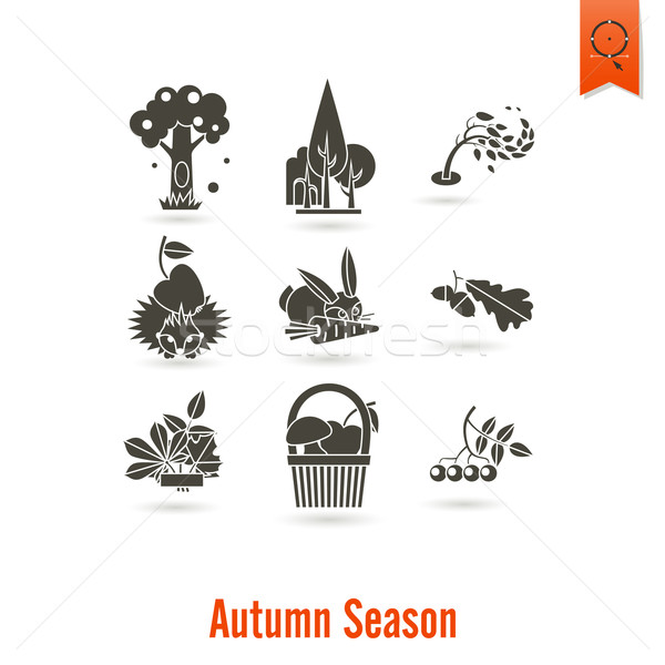 Set Herbst Symbole einfache Stock foto © HelenStock