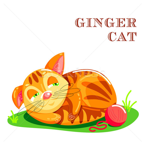 Educational flashcard with cat on the grass Stock photo © heliburcka