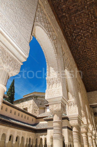 Detay ünlü alhambra saray İspanya doku Stok fotoğraf © HERRAEZ