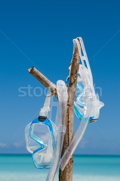 [[stock_photo]]: Plongée · masque · suspendu · branche · paire · masques