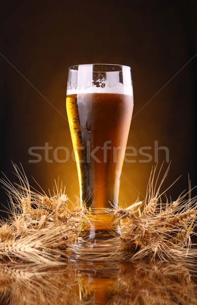 Glass of beer with barley ears Stock photo © hiddenhallow