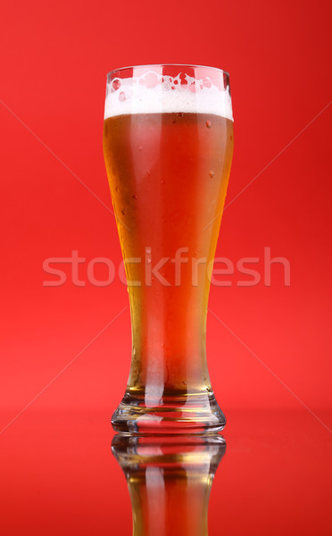 Glass of beer Stock photo © hiddenhallow