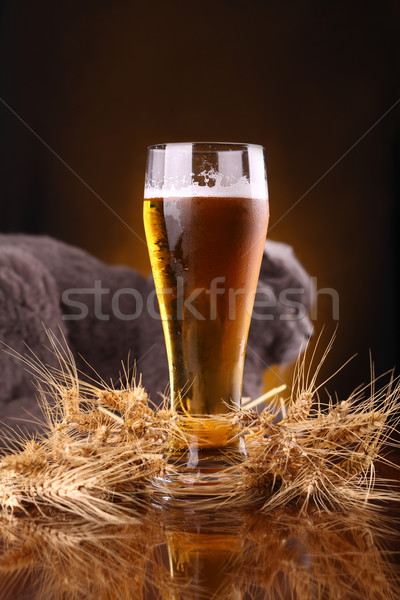 Cat and beer Stock photo © hiddenhallow