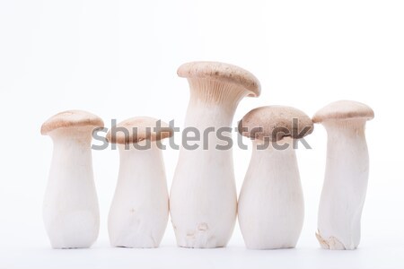 Eryngii mushroom five pieces isolated  Stock photo © hin255