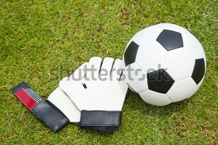 Stockfoto: Voetbal · handschoenen · ingesteld · voetbal · stadion · sport