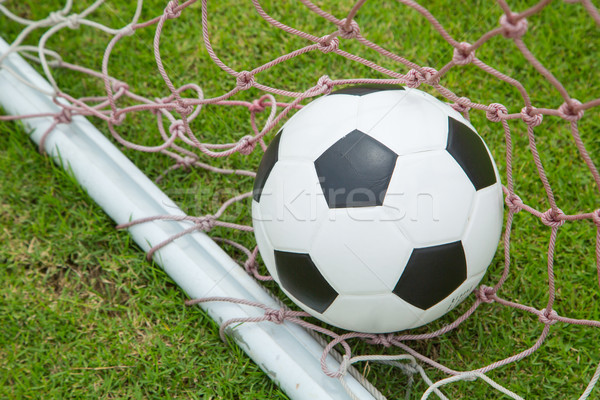 Ballon objectif sport football domaine vert Photo stock © hin255