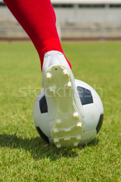 Soccesr player and ball isolated  Stock photo © hin255