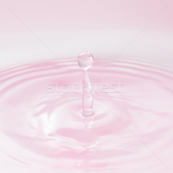  Water drop Stock photo © hin255