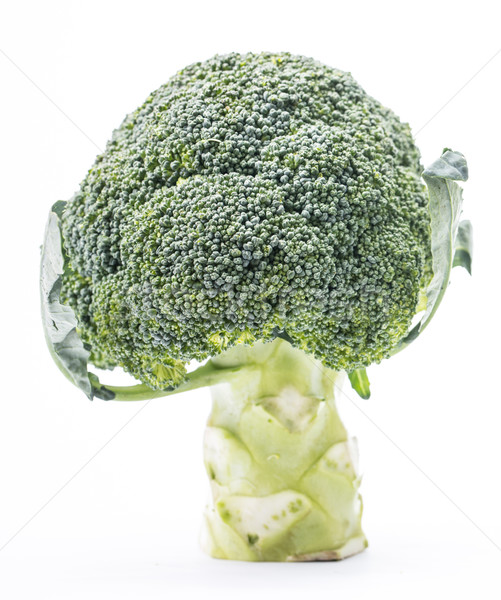  Green Broccoli isolated  Stock photo © hin255