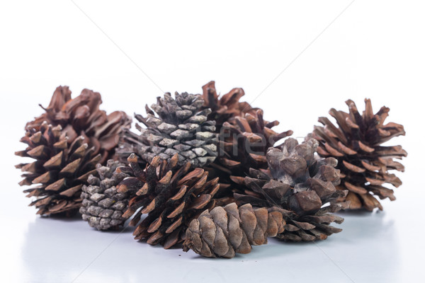 Pine cones Stock photo © hin255