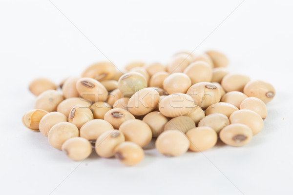 soy bean isolated Stock photo © hin255