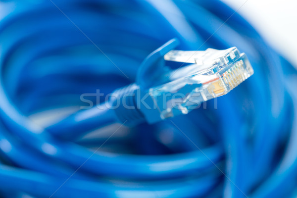 Foto stock: LAN · cable · línea · aislado · blanco · negocios