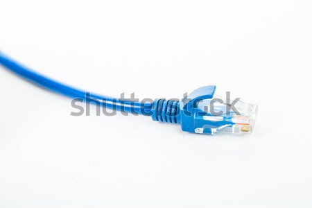 LAN kabel line odizolowany biały działalności Zdjęcia stock © hin255