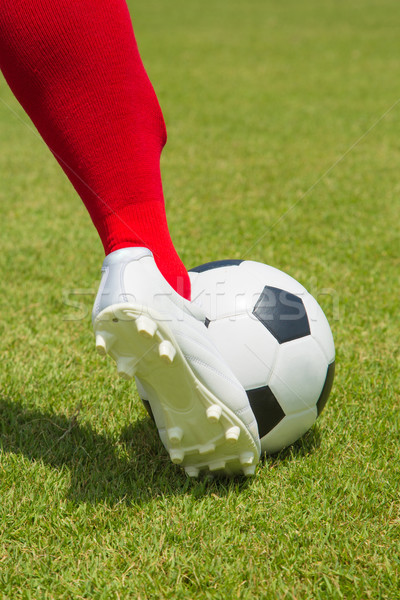 Soccesr player and ball isolated  Stock photo © hin255