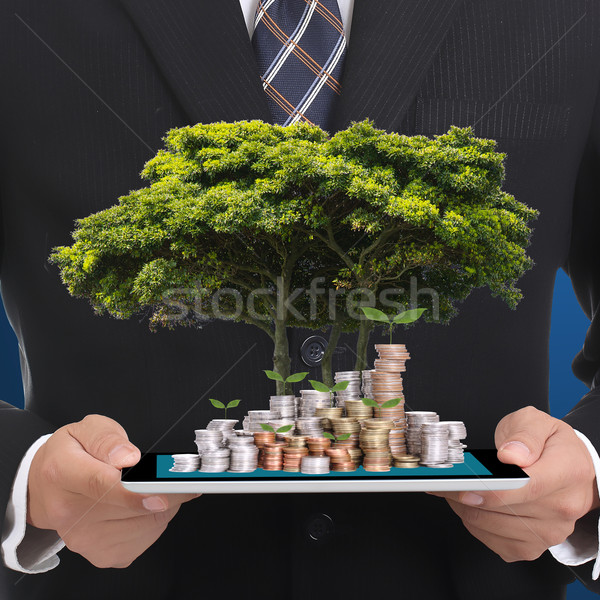 Businessman cover growing plant  Stock photo © hin255