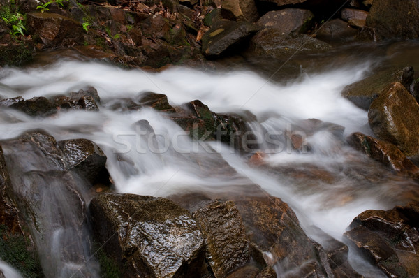 Namtok Phlio, Phlio waterfall Stock photo © hinnamsaisuy