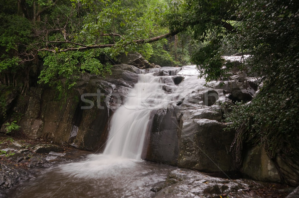 Stok fotoğraf: Park · Tayland · su · gülümseme · orman · çağlayan