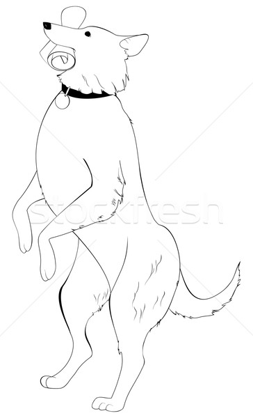 dog standing on hind legs Stock photo © Hipatia