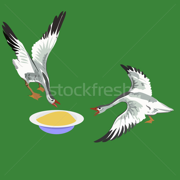 Stockfoto: Twee · ganzen · grijs · huiselijk · gans · groene