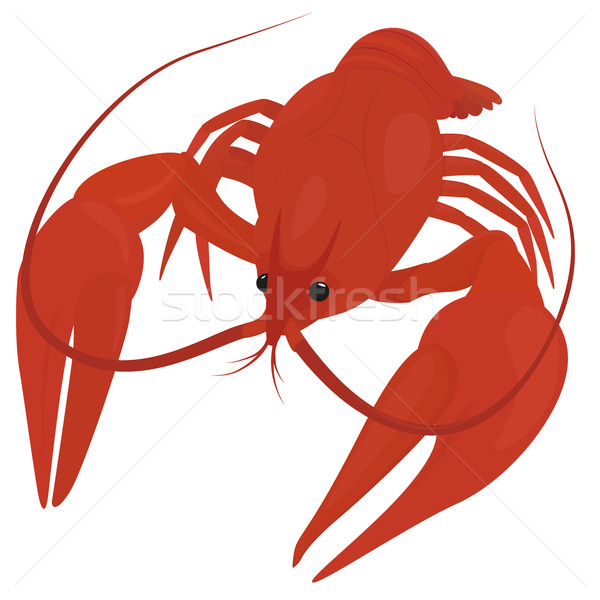 boiled red crayfish, crawfish Stock photo © Hipatia