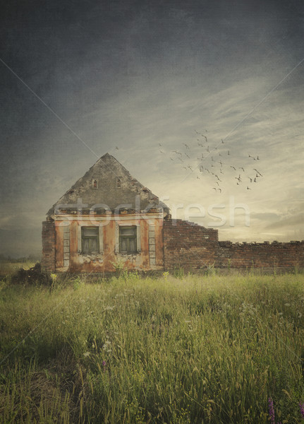 [[stock_photo]]: Vieille · maison · ruines · domaine · texture · nuages · printemps