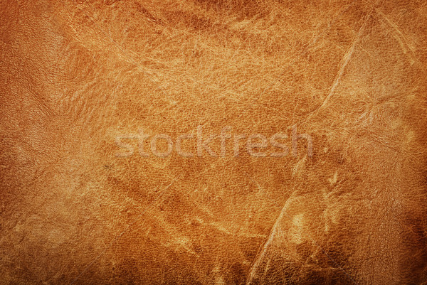Leather Texture Stock photo © hitdelight