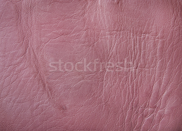 Leather Texture Stock photo © hitdelight