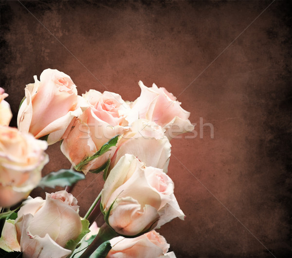 Roses bouquet belle rose papier rose Photo stock © hitdelight