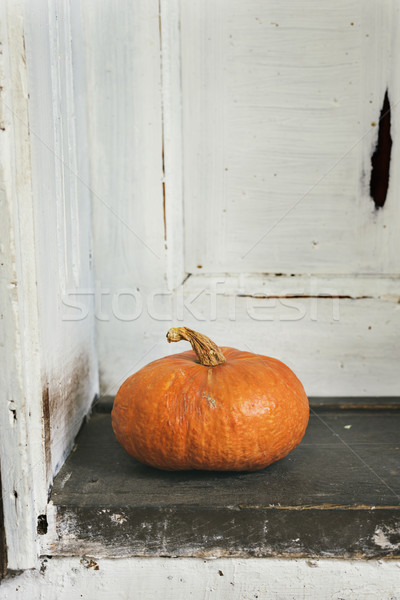 Pumpkin Stock photo © hitdelight