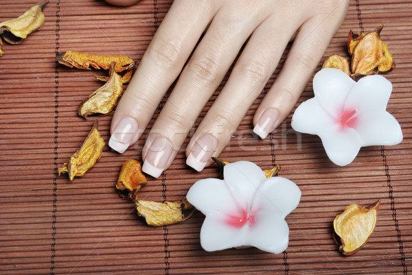 French Manicure Stock photo © hitdelight
