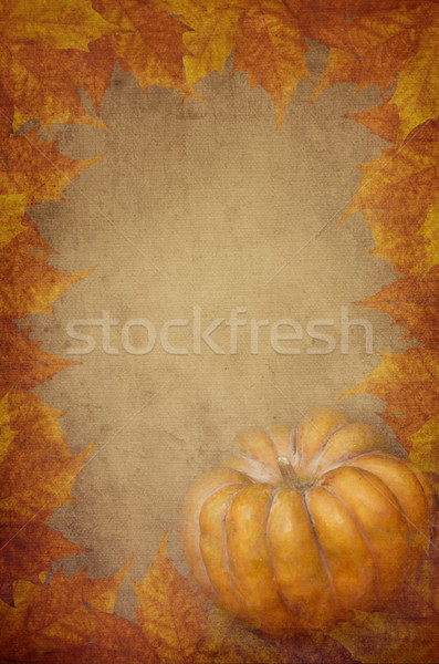 Pompoen esdoorn bladeren ontwerp voedsel Stockfoto © hitdelight