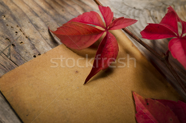 Foto stock: Vazio · folha · vermelho · hera · textura · fundo