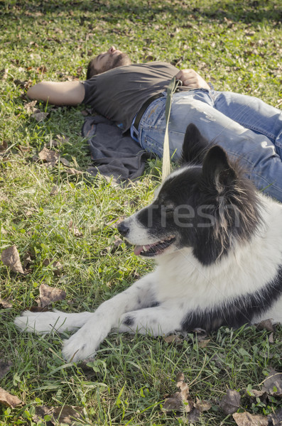 Man laying in the grass with his dog Stock photo © hitdelight