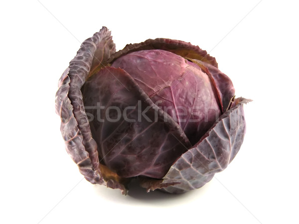 cabbage Stock photo © hitdelight