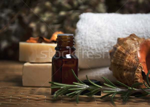 Spa treatment Stock photo © hitdelight