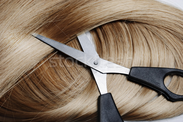 Blond włosy długo zdrowych zawodowych nożyczki moda Zdjęcia stock © hitdelight