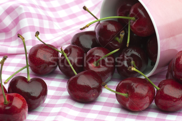 Cherries and Pink Stock photo © HJpix